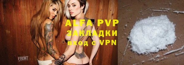 индика Новозыбков