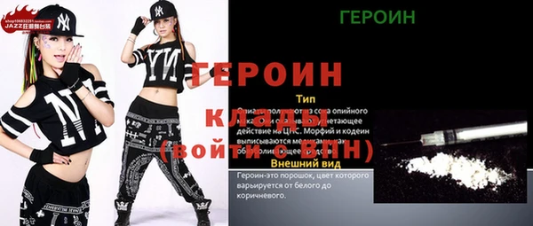 индика Новозыбков