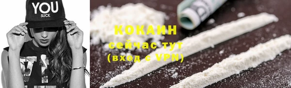 индика Новозыбков