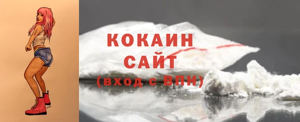 индика Новозыбков