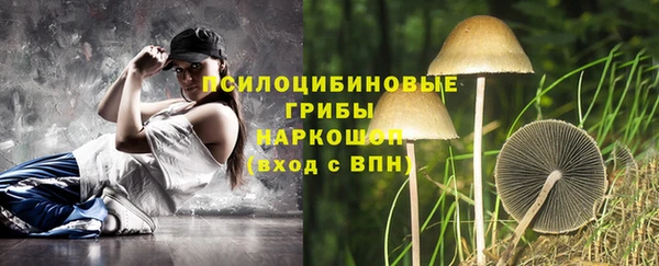 индика Новозыбков