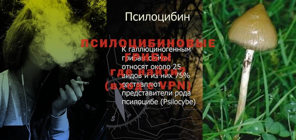 MDMA Premium VHQ Нязепетровск