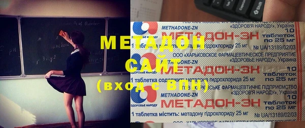 индика Новозыбков
