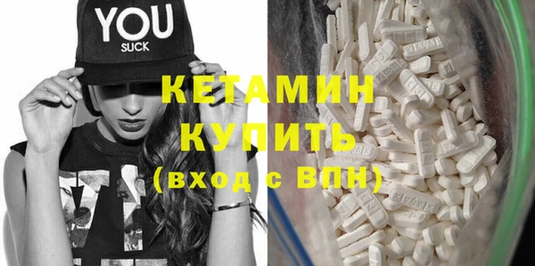 индика Новозыбков