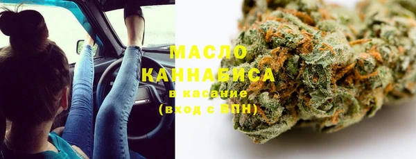 индика Новозыбков