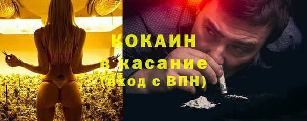 индика Новозыбков