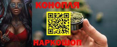 стафф Заводоуковск