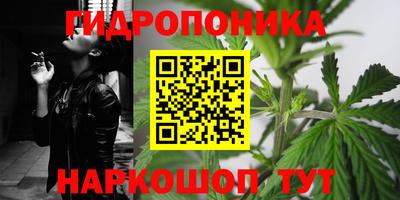 стафф Заводоуковск