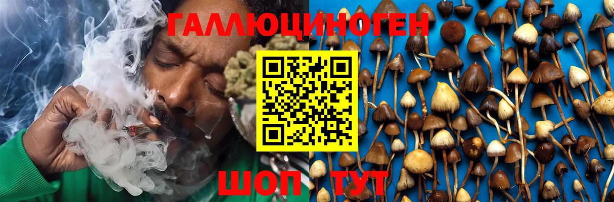 Гашиш  Павловский Посад  Конопля  MDMA  Вход с VPN  Меф кристаллы  COCAIN  Codein  НБОМе 